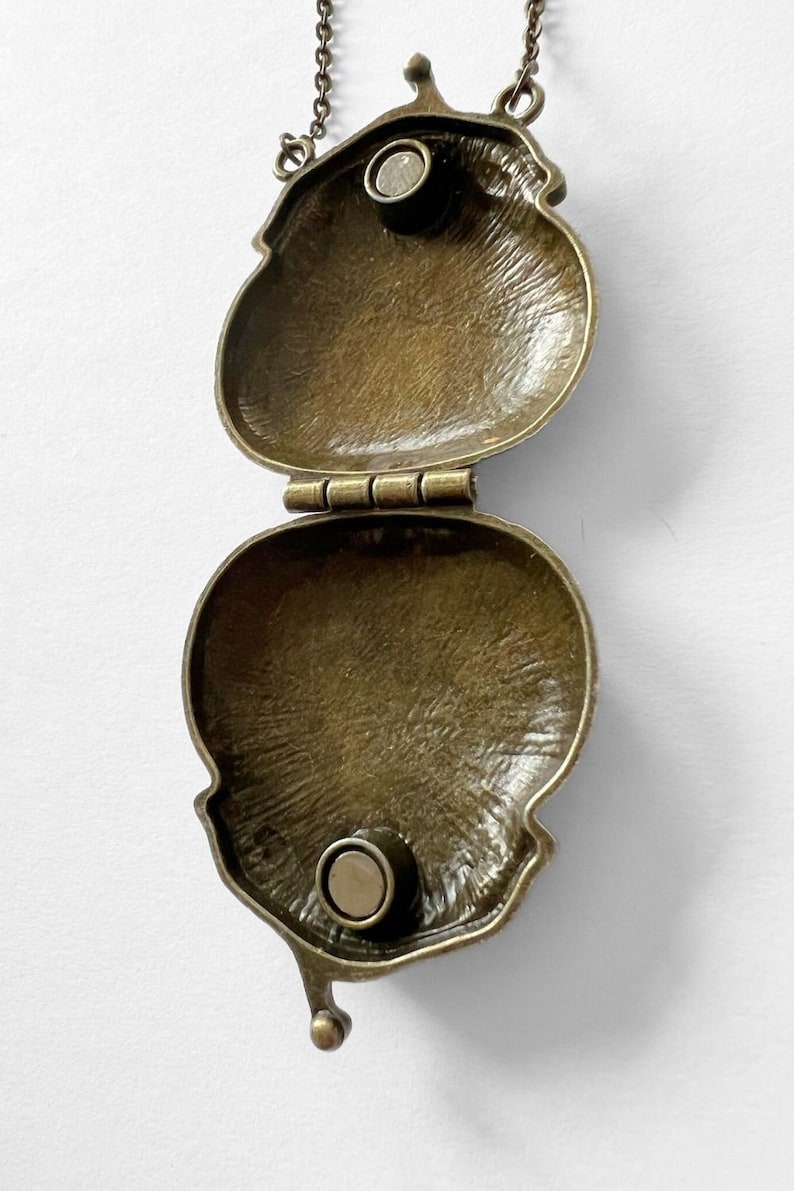 Puede incluir: Un collar con un colgante de medall&oacute;n de color bronce, con una tapa con bisagra. El medall&oacute;n est&aacute; abierto, revelando un interior liso y vac&iacute;o. El medall&oacute;n est&aacute; unido a una cadena.