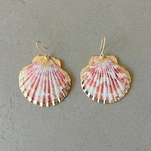 May include: A pair of seashell earrings. Each earring features a natural seashell shape with a gold-colored trim and ear wire. The shells have a pink and white striped pattern, creating a coastal aesthetic.