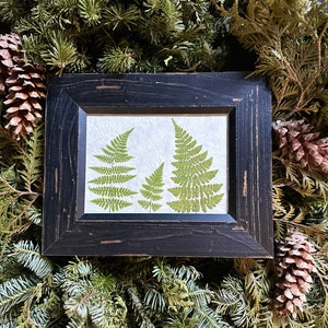 Pressed Fern Artwork - Botanical Wall Hanging - Rustic Modern Farmhouse Decor Frame - Unique Home Garden Gift - Botanical Gift for Her