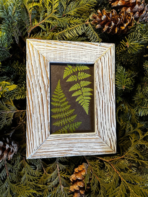 押し花アート 壁掛けフレーム付き 押し花フレーム カラフル プレスフラワー 押し花 フレーム