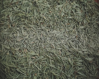 Fresh Balsam Fir Needles | Maine Evergreen Material | Natural Forest Scent | Wild Harvest Seasonal Craft | Simmer Pot Supply