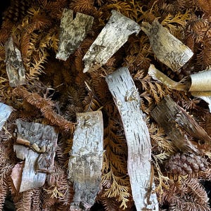 May include: A pile of brown and white birch bark pieces on a bed of dried brown foliage. The bark is in various shapes and sizes, some curled and some flat.