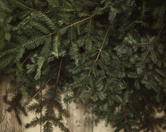 Fresh Balsam Fir Boughs 3lb | Maine Evergreen Cuttings | Wild Harvest Wreath Making Supply | Natural Forest Scent | Seasonal Decor