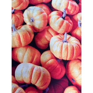 Fabric - OOP Cotton &quot;Pumpkins&quot; by David Textiles for AGC 18” x 44” Half Yard