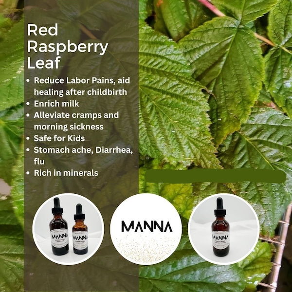 Raspberry Leaf extract, red raspberry, raspberry tincture, Rubus idaeus, herbal extract, contains alcohol