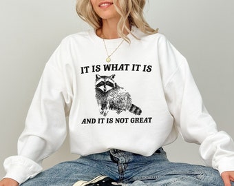 Funny Raccoon Sweatshirt, Cute Animal Sweater, Animal Lover Shirt, Sarcastic Sweater, Trendy Oversized Sweatshirt, Funny Sweater Gift