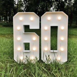 May include: White illuminated number 60, with warm-toned light bulbs, standing in a grassy field. The numbers are large and made of a solid material, likely wood or plastic, and are designed to stand upright. The background features trees.
