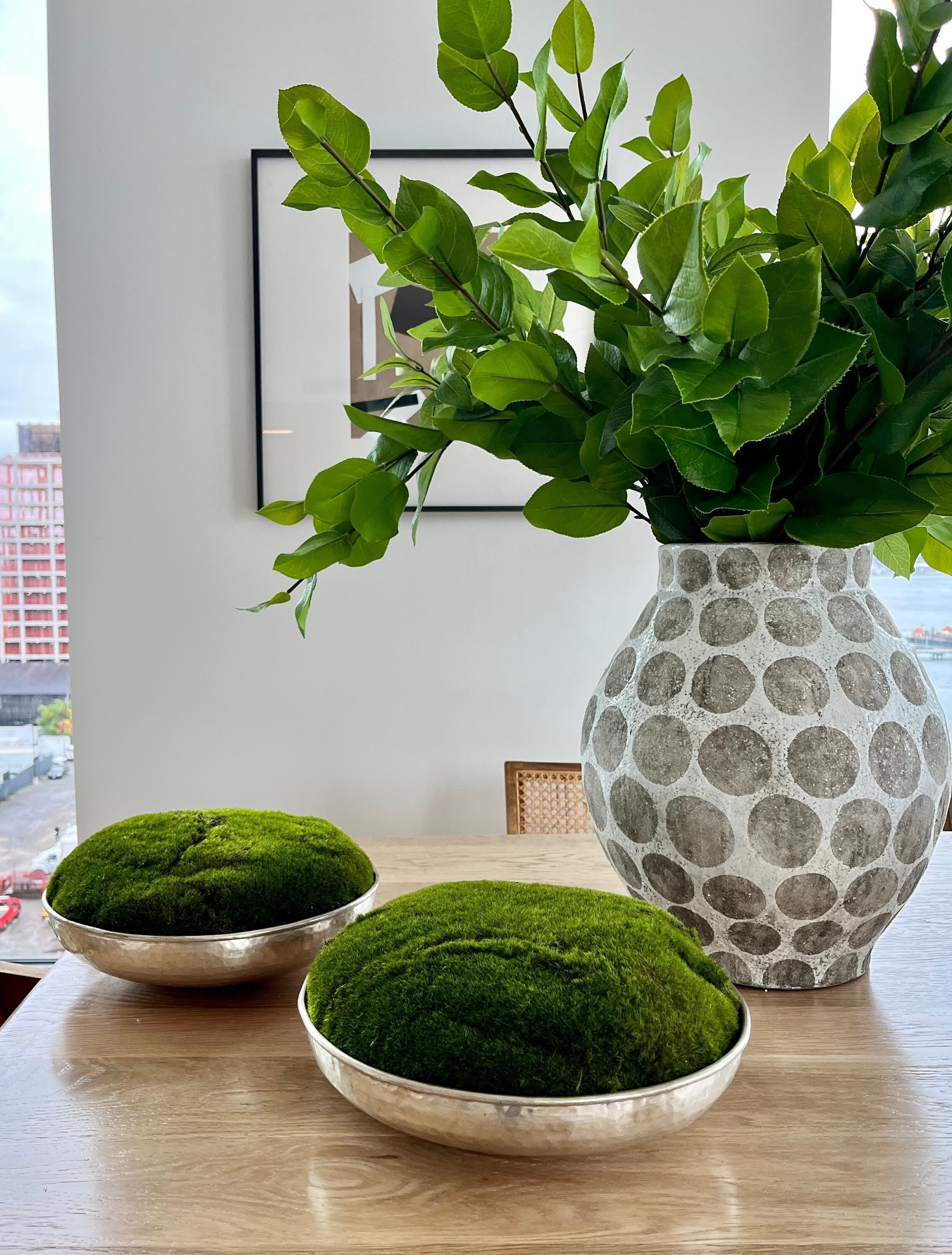 Live moss bowls - Pots & Planters - Brisbane, Queensland, Australia