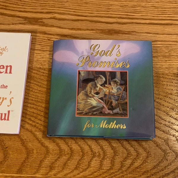 Books for Mothers Like New 3 Books Chicken Soup for the Mother's Soul, God's Promises for Mothers, and Motherhood