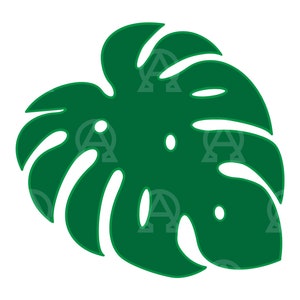 Monstera Blatt geschnitten Datei, Monstera Blatt geschnitten, Tropisches Blatt Blatt, Dschungel Blatt Blatt, Botanisches Blatt, Monstera Blatt Vektor Clipart, Cricut, Schablone