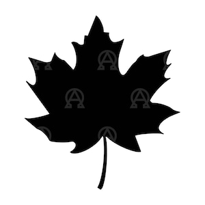 Fall Leaf Svg, Fall Leaf Cut File, Canadian Leaf, Maple Leaf, Autumn Svg, Botanical Svg, Fall Leaf Vector Clipart, Fall Leaf Png, Stencil.