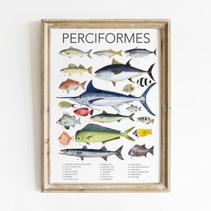 Pescado arte impresión educativa océano cartel niños habitación neutral arte escuela sala pared imprimible aula océano impresión niños habitación imprimible pescado arte