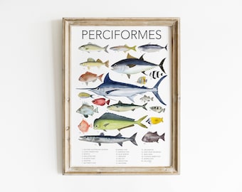 Fish Art Print Educational Ocean Poster Kids Room Neutral Art School Room Wall Printable Classroom Ocean Print Kids Room Printable Fish Art