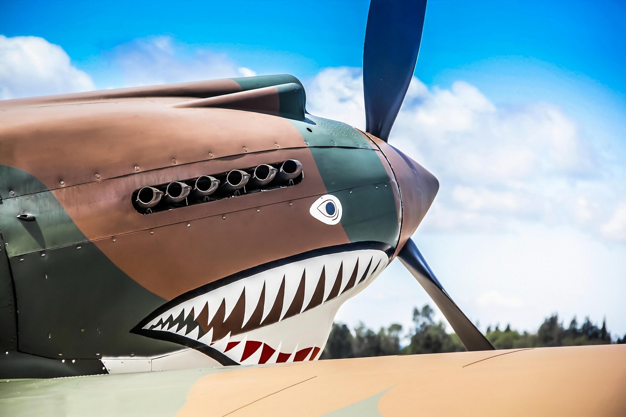 Shark Face Plane