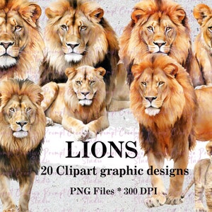 Lion clipart | Lion, lioness, lion cubs, safari animals digital download clipart PNG Digital files | Lion themed decorative watercolor files