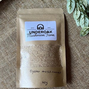 Assortiment de pleurotes gastronomiques, déshydratés/séchés moulus en poudre, cultivés en intérieur aux États-Unis