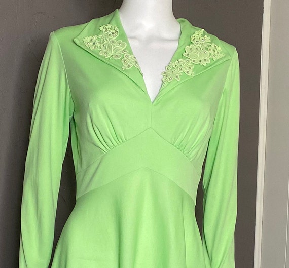 1960’s Lime Green Maxi Dress with Embroidered Lac… - image 10