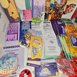 Disneyland Souvenir Lot Vintage Disney 2001 Y2K Disneyland Memorabilia Bundle