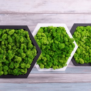 Hexagon honeycomb plant table