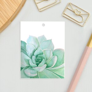 Etichetta regalo succulenta, piccole carte regalo, carte per regali, carta regalo succulenta, carte per fiori, carte illustrate, carte etichetta regalo