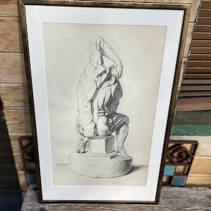 Framed Anatomical Pencil Drawing – After Andreas Vesalius – Human Musculature Study – 46x29cm – Classical Medical Art