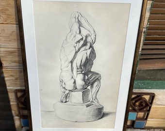 Une impression originale de musculature humaine au crayon sur papier, d'après la plaque d'Andreas Vesalius, dimension 46 x 29 cm