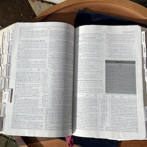 1997 Nelson&#39;s NKJV Studienbibel | Daumen-Indiziert | Burgunderfarbenes Lederstift | Neue King James Version | Gebrauchter Zustand