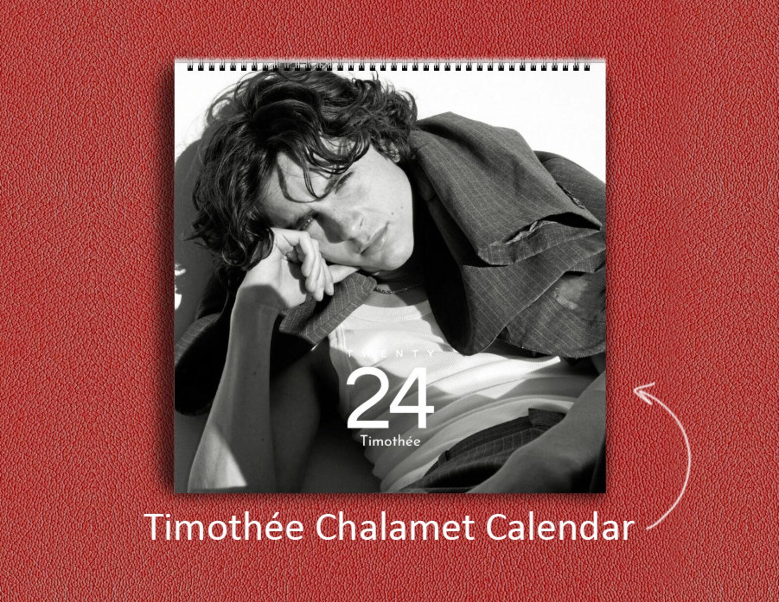 timoth-e-chalamet-calendar-2024-timoth-e-chalamet-2024-wall-calendar