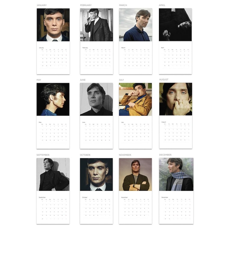 May include: A twelve-month wall calendar featuring a different portrait of Cillian Murphy for each month, from January to December. Each page displays the month name at the top, a photographic image of the actor, and a grid of calendar dates below.