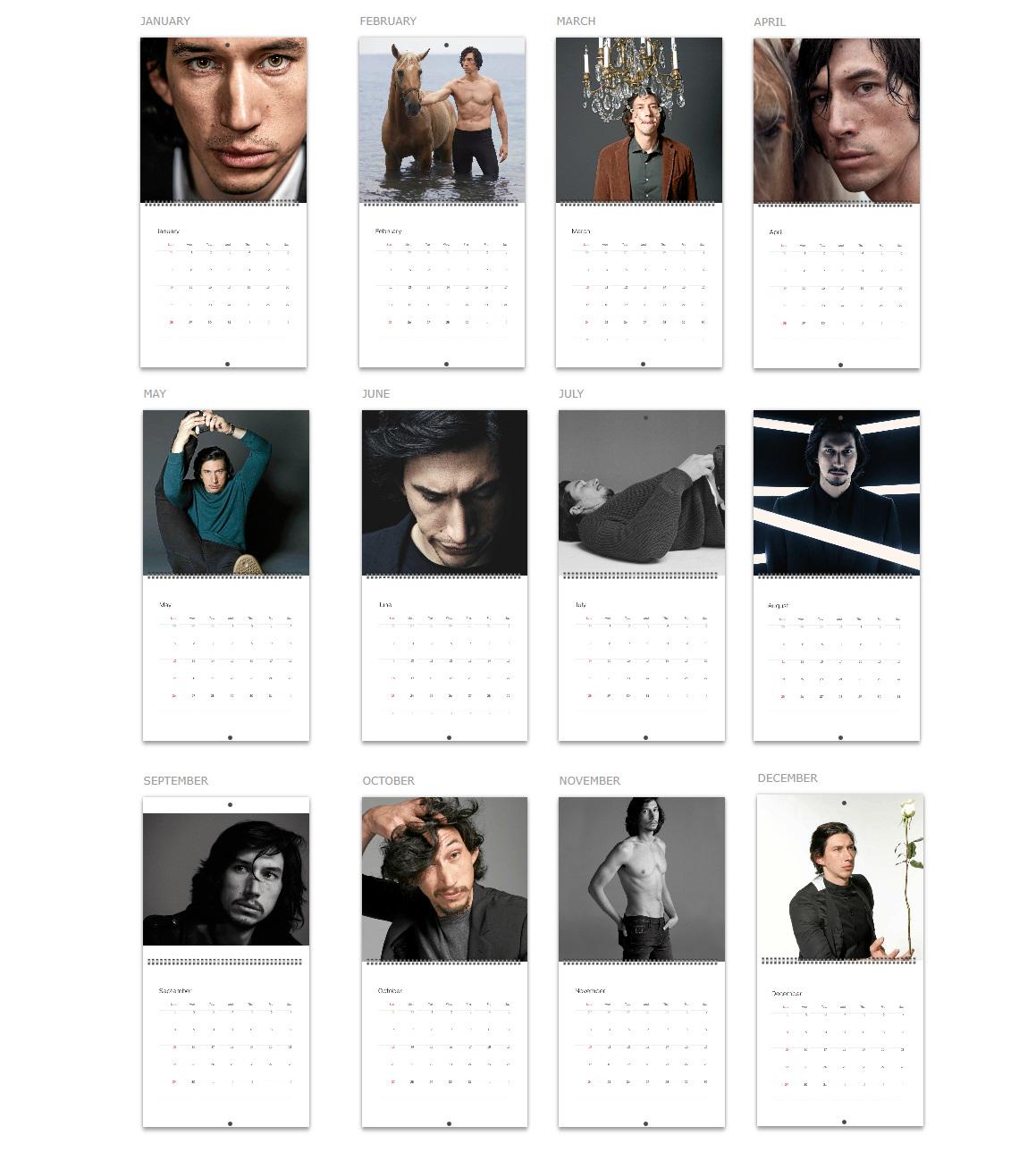 Adam Driver Calendar 2025 Adam Driver 2025 Celebrity Wall Calendar