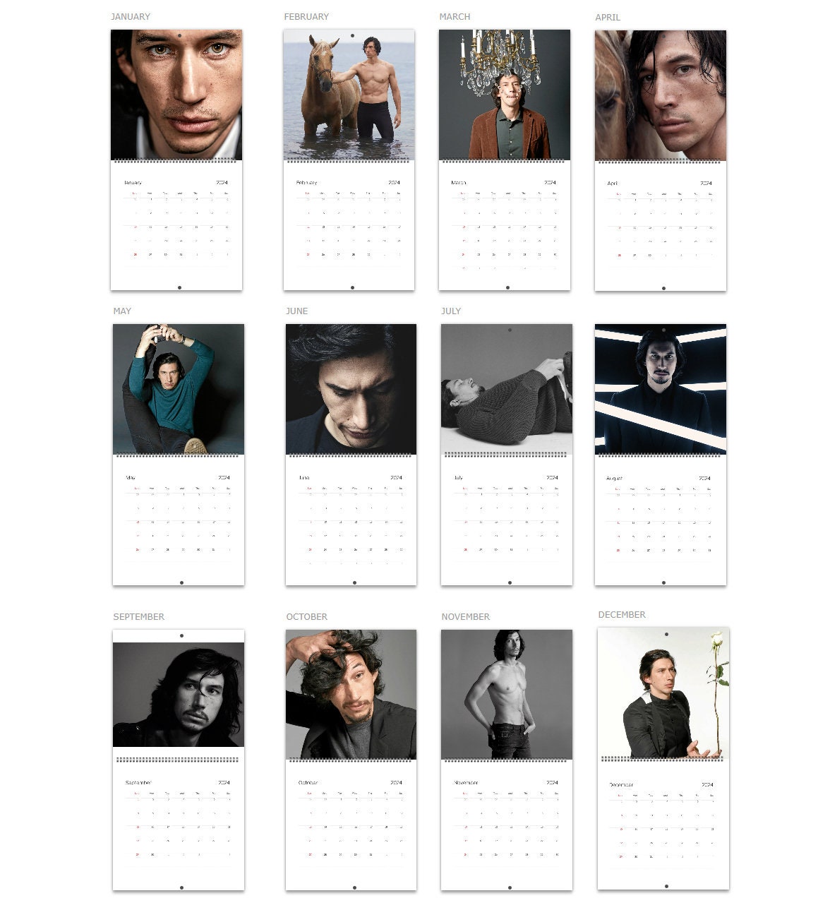 Adam Driver Calendar 2024 Adam Driver 2024 Celebrity Wall Calendar