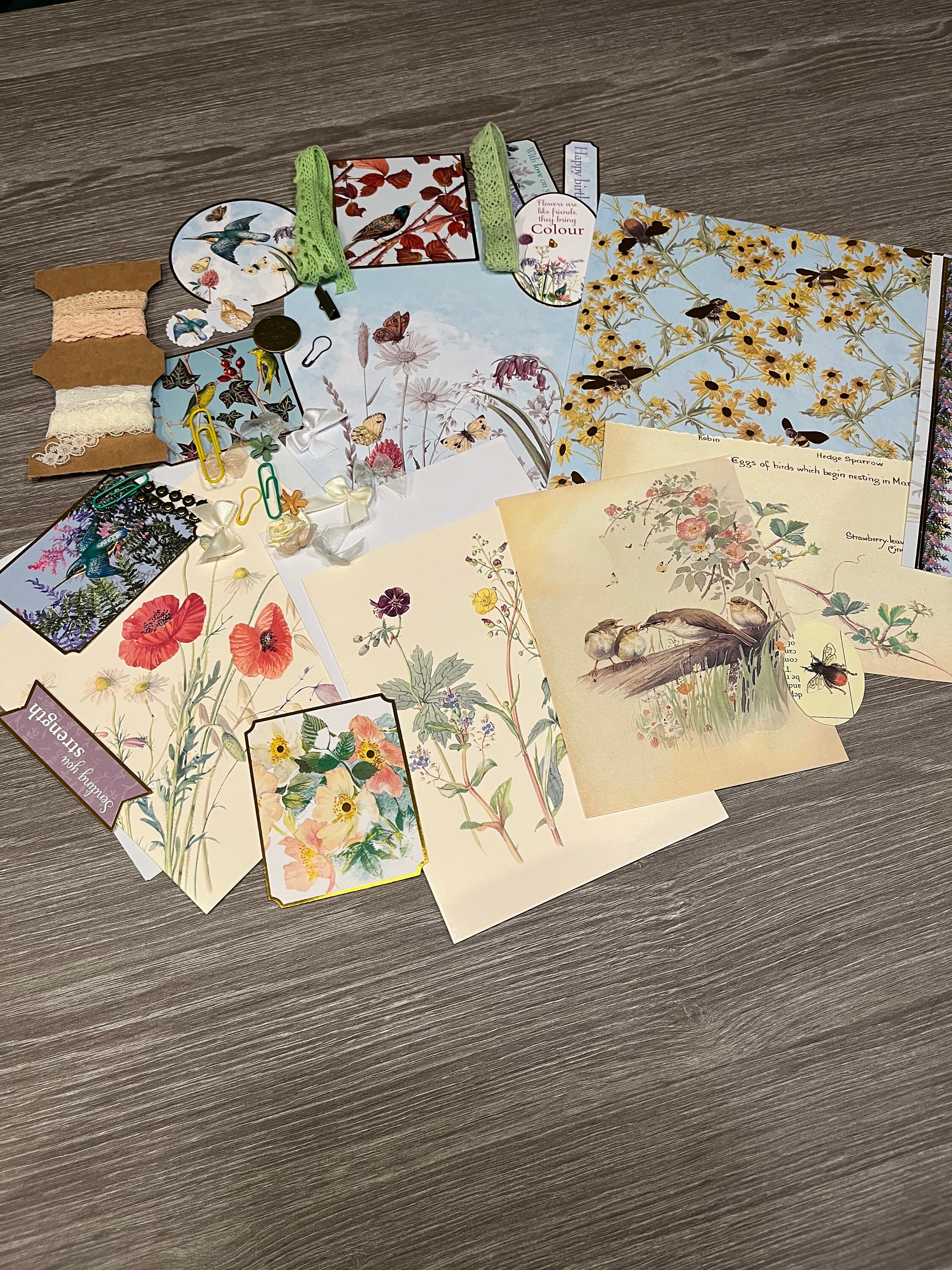 Edith Holden Craft Kit - Etsy UK