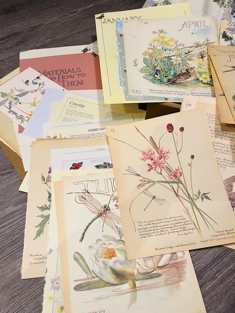 Edith Holden Craft Kit - Etsy UK