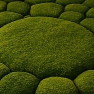 Moss Stone Rug, 3D Textured Green Nature Rug