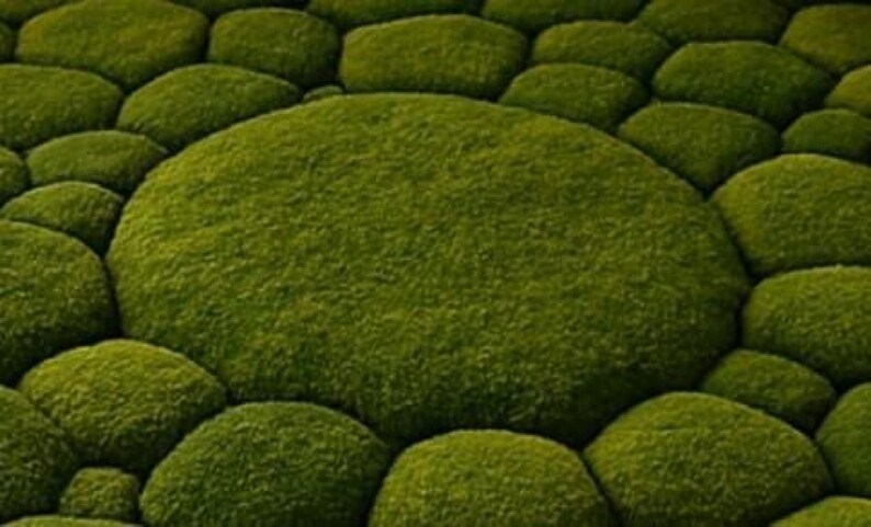 Moss Stone Rug, 3D Textured Green Nature Rug