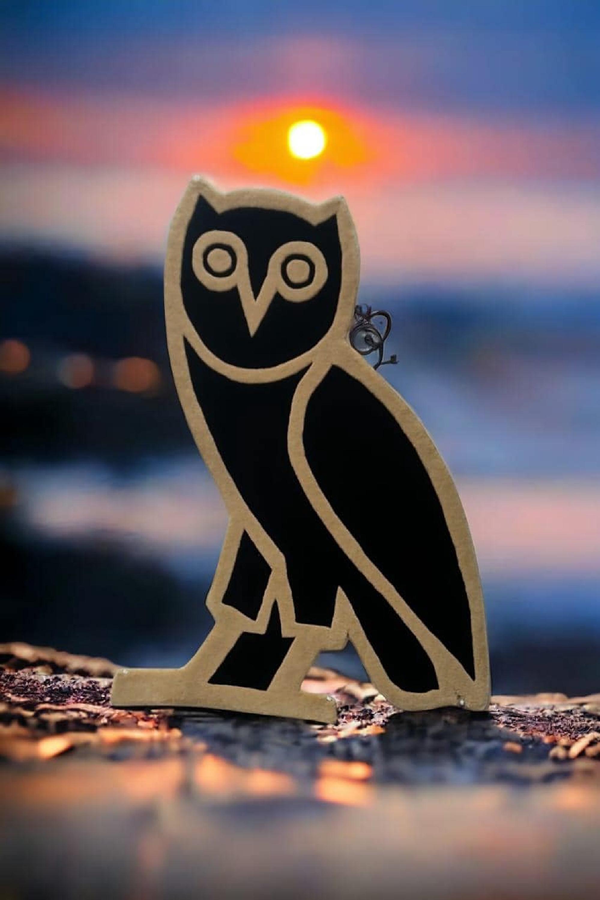 OVO Owl Rug in Black and Beige Hand-tufted Animal-shape Luxury Wool Rug ...
