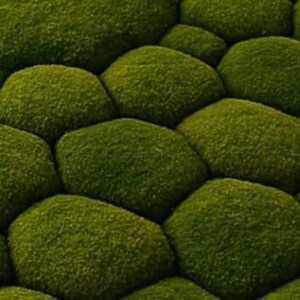 Moss Stone Rug, 3D Textured Green Nature Rug