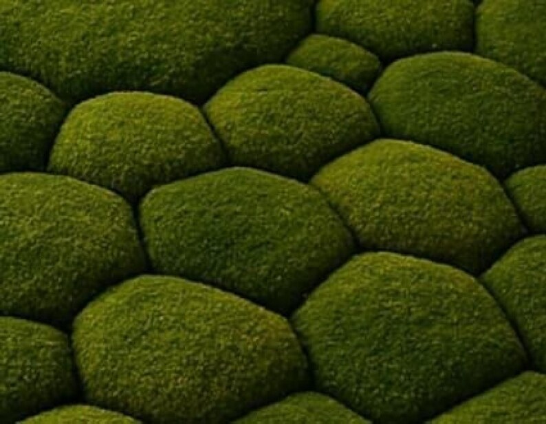 Moss Stone Rug, 3D Textured Green Nature Rug