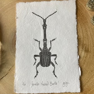 Girafhalskever kever Art Print, Limited Edition handgemaakte kunstprint, kunst aan de muur, ondertekende print, originele kunst, entomologie, curiosa