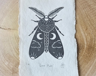 Luna Moth Art Print: Handmade Cotton Paper, Limited Edition Signed Entomology Bug Art