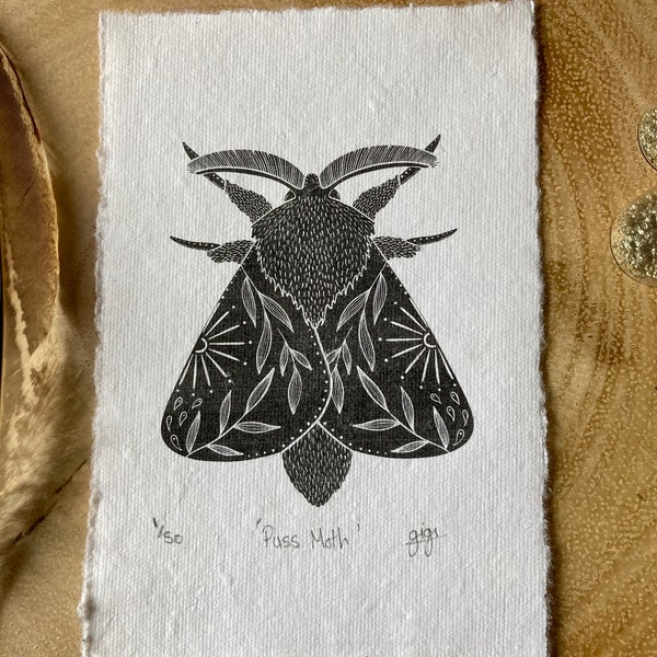 Impression d’art originale de Puss Moth, décoration intérieure inhabituelle, impression faite à la main, art en édition limitée, cadeau d’insectes et d’invertis, taxidermie et curiosités