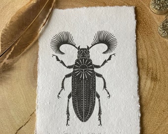 Original Feather Horned Beetle Art Print, Unusual Home Decor, Handmade Print, Limited Edition Art, Insect and Invert Gift, Oddities