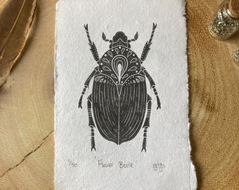 Limited Edition Flower Beetle Art Print on Handmade Paper, Entomology Print, Linocut  Art Print, Beetle Art, Mini Print, 4x6 Print