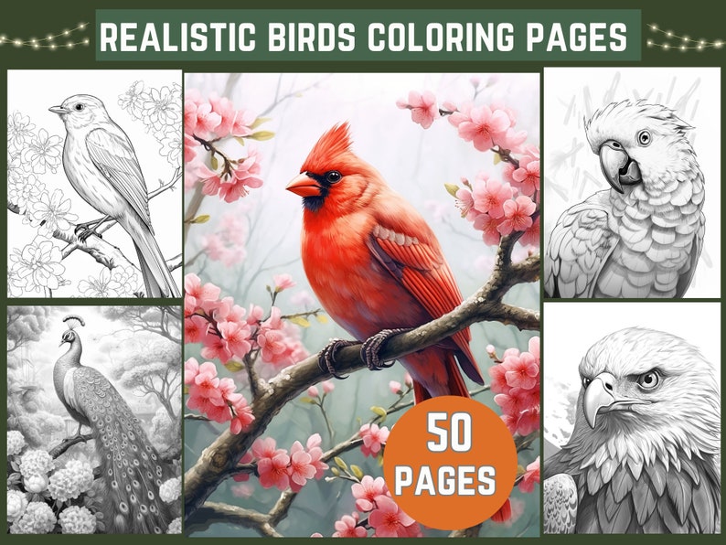 50 Realistic Birds Coloring Pages for Adults, Tropical Birds Coloring ...