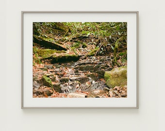 Mossy Stream in the Smokies – 8x10 Fine Art Studio Print – Smoky Mountain Wall Art