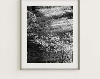 Clifty Falls Black & White Photo: Indiana Nature 35mm Film Print (Digital Download)