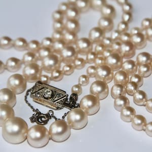 May include: A vintage pearl necklace with a silver clasp. The necklace features multiple strands of creamy, round pearls of varying sizes. The clasp is rectangular with a small diamond accent. The pearls have a soft luster.