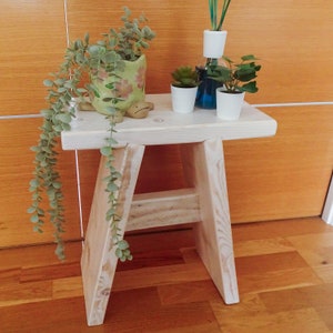 May include: A white wooden stool with a simple design. The stool has a wide top and two legs on each side. There are three potted plants on the top of the stool, including a succulent, a leafy plant, and a plant in a turtle-shaped pot.