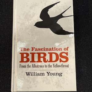 May include: A book titled "The Fascination of BIRDS" by William Young. The cover features a black silhouette of a bird in flight against a light background. The title is in red and the subtitle reads "From the Albatross to the Yellowthroat."