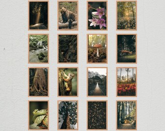 Set met bosfotografieprints, natuurgalerij muurkunst (digitale download)